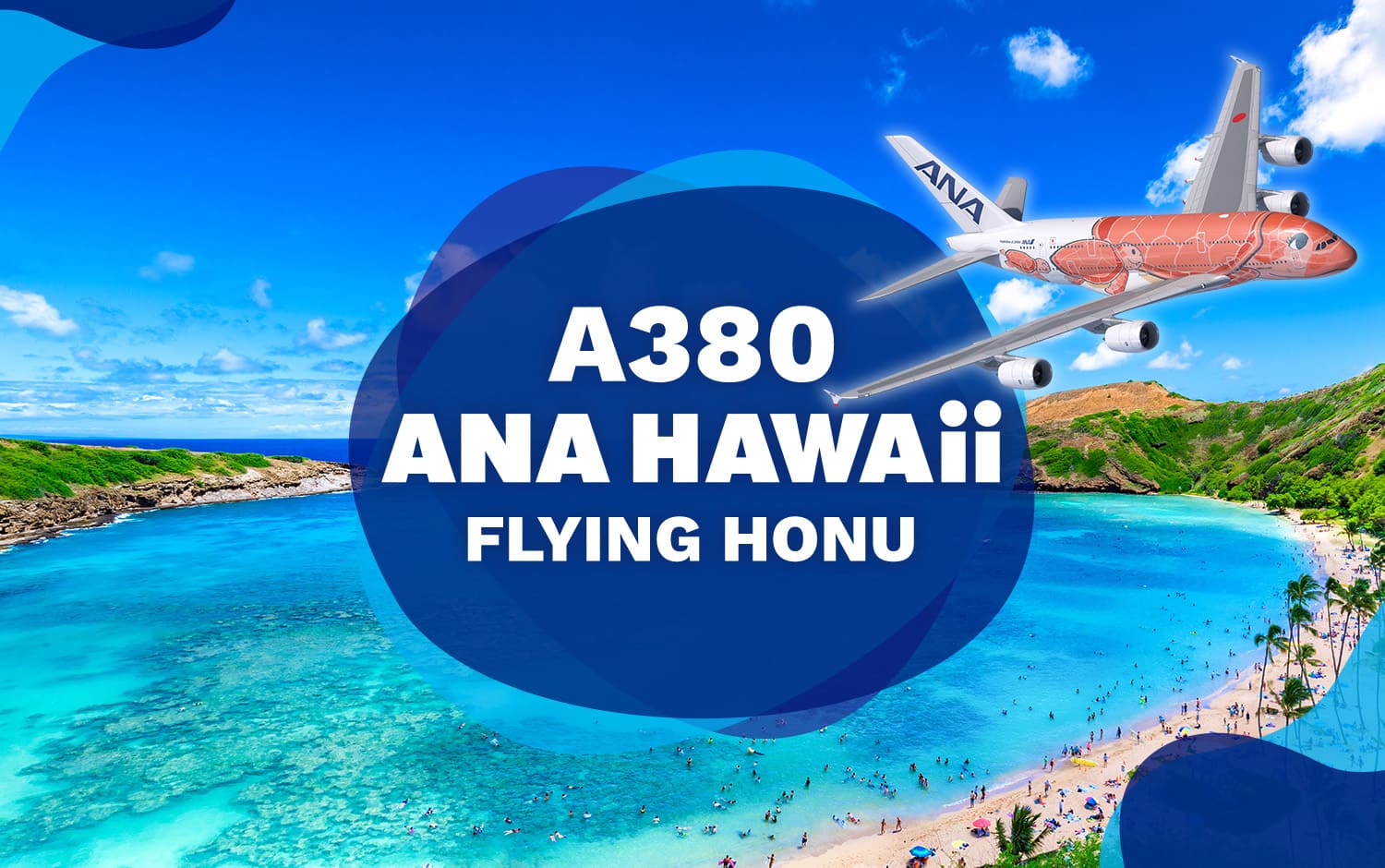 A380 ANA HAWAii FLYING HONU