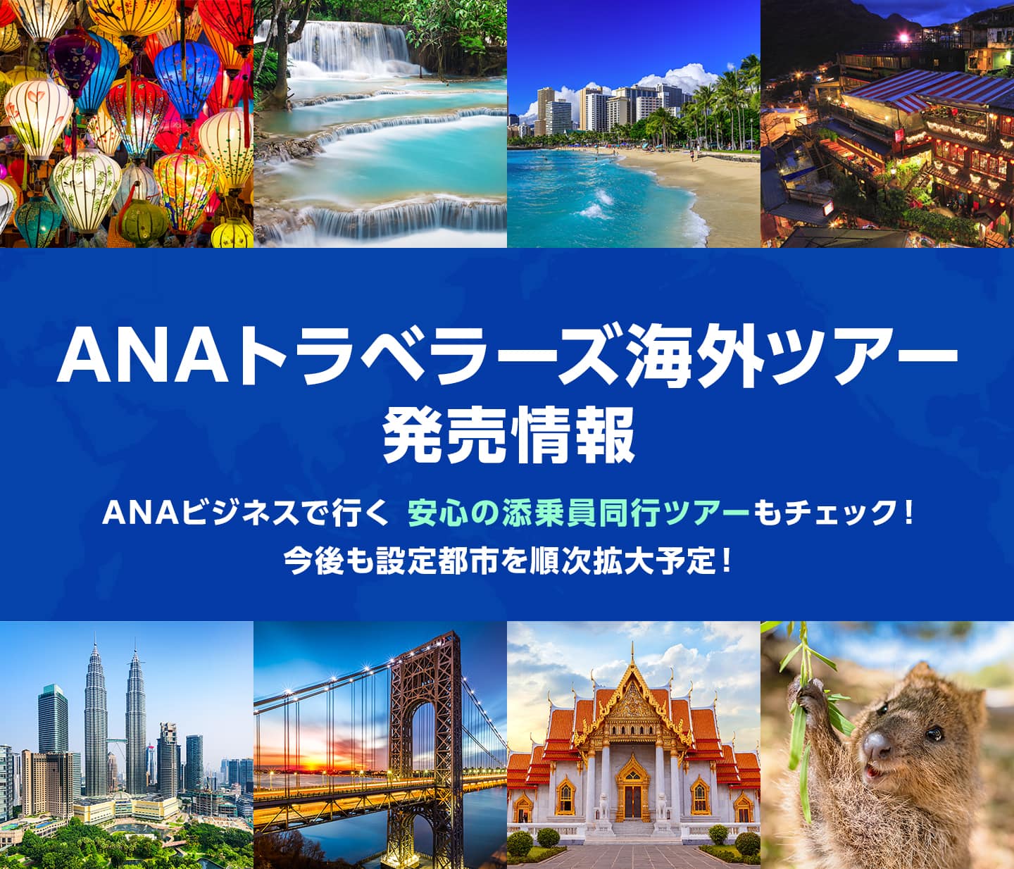 ANAトラベラーズ海外ツアー発売情報 ANAビジネスで行く 安心の添乗員同行ツアーもチェック! 今後も設定都市を順次拡大予定！