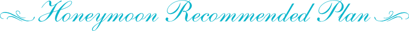 Hoenymoon Recommended Plan