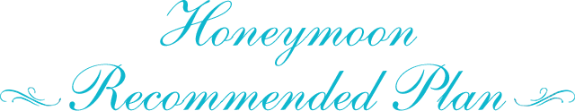 Hoenymoon Recommended Plan