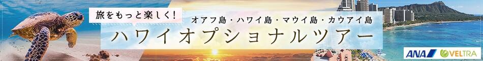 旅をもっと楽しく！オアフ島・ハワイ島・マウイ島・カウアイ島 ハワイオプショナルツアー