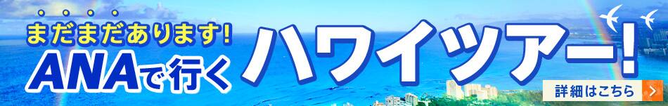 まだまだあります！ANAで行くハワイツアー！