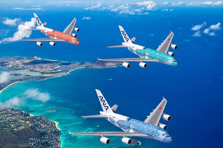 ANA FLYING HONUチャーターフライト