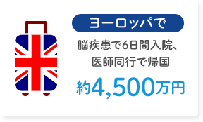 ヨーロッパで脳疾患で6日間入院、医師同行で帰国 脳疾患で6日間入院、 医師同行で帰国　約4,500万円