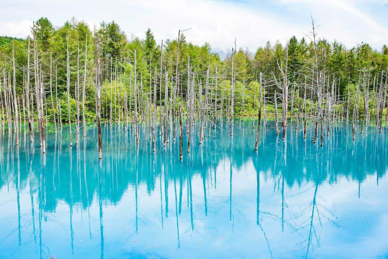 (photo) Shirogane Blue Pond 1