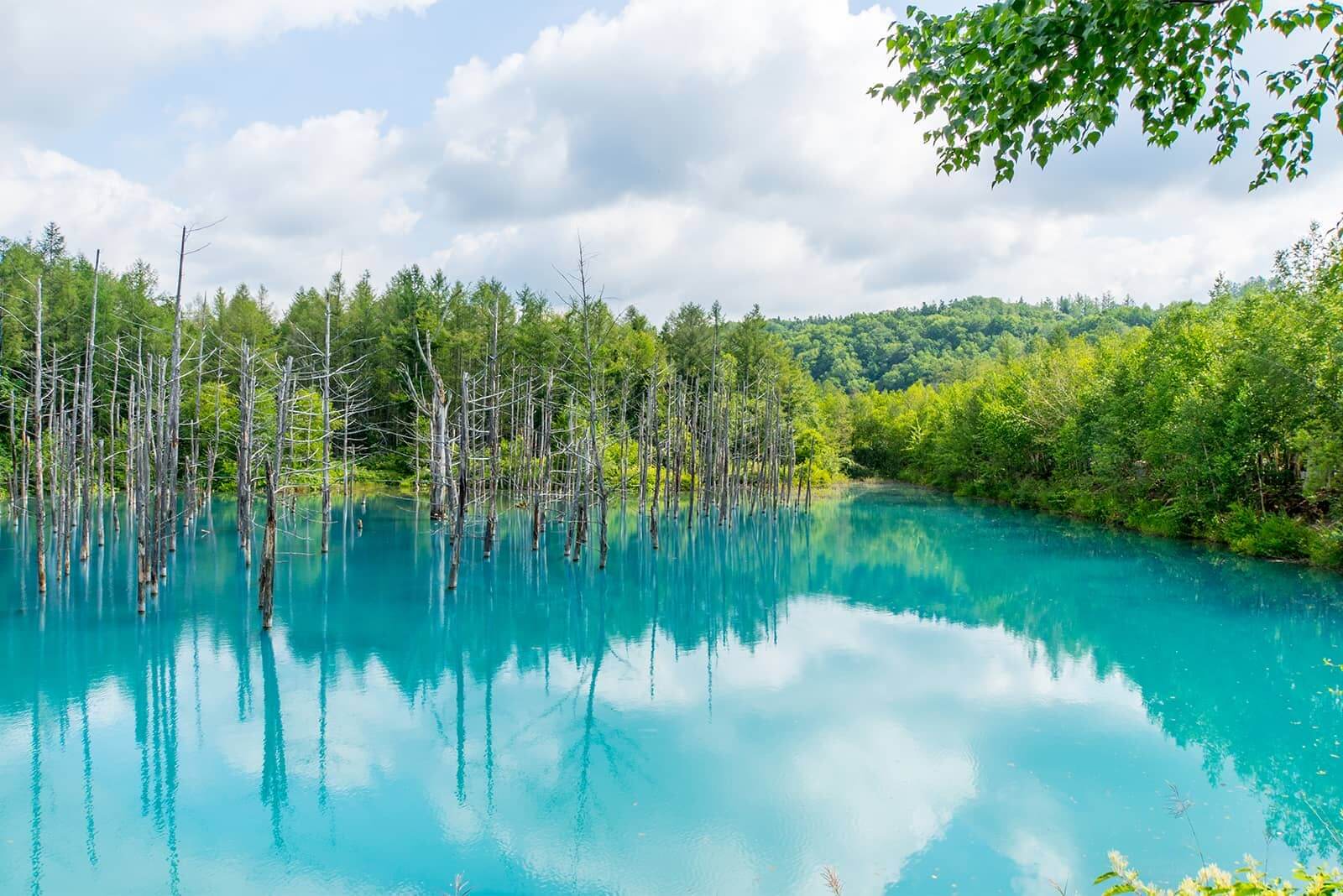 (photo) Shirogane Blue Pond 2