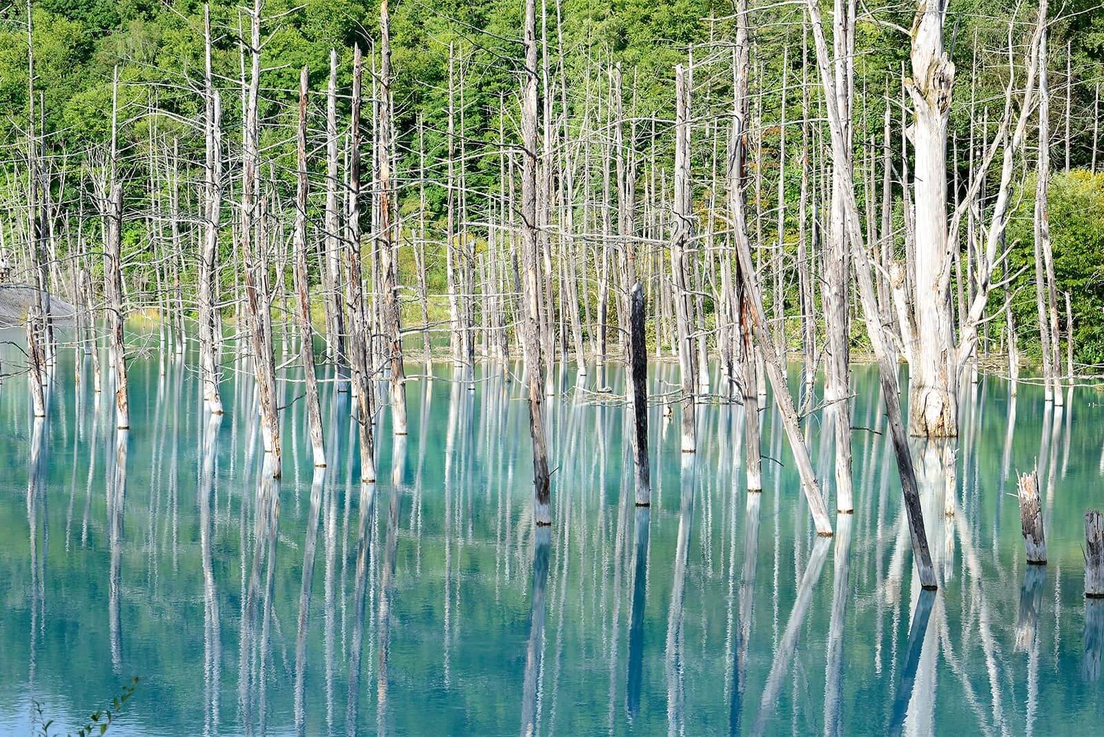 (photo) Shirogane Blue Pond 3