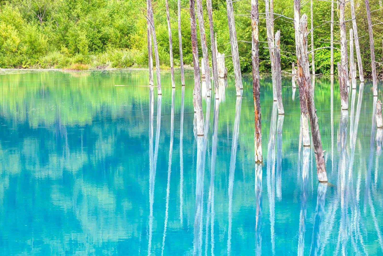 (photo) Shirogane Blue Pond 4