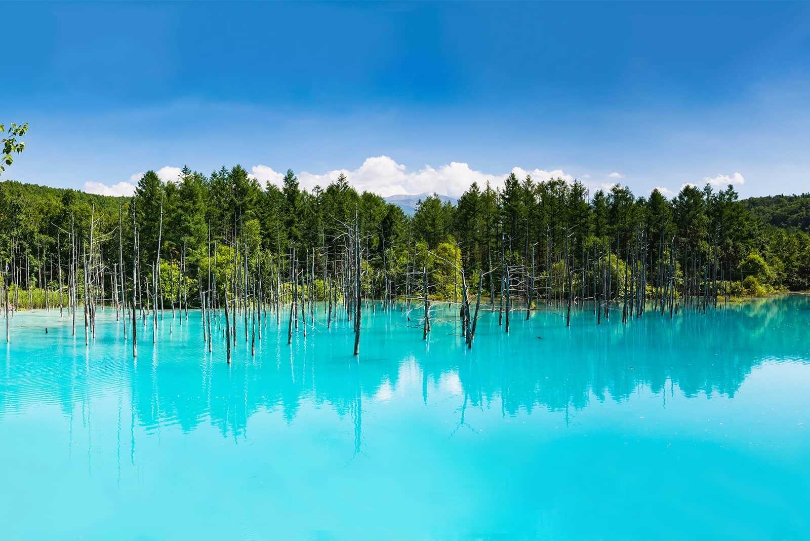 (photo) Shirogane Blue Pond 6