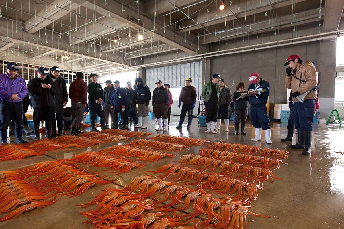 (写真) 新湊きっときと市場 3