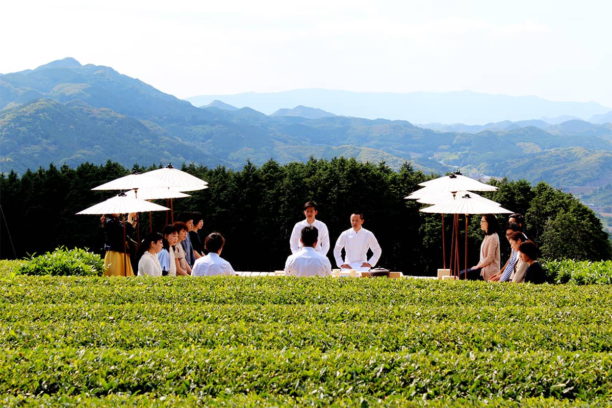 (写真) ティーツーリズム（嬉野茶時） 1