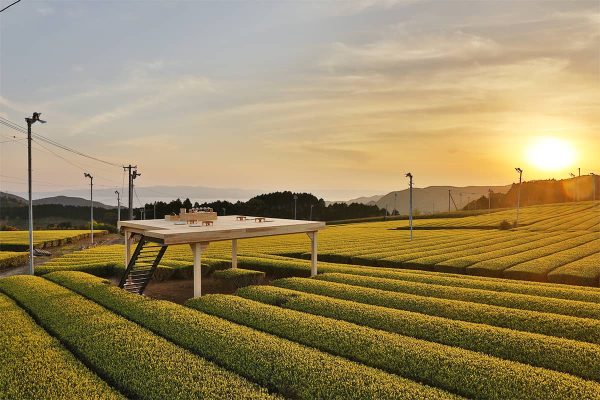 (写真) ティーツーリズム（嬉野茶時） 2