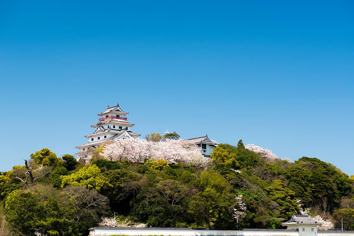 (写真) 唐津城 2