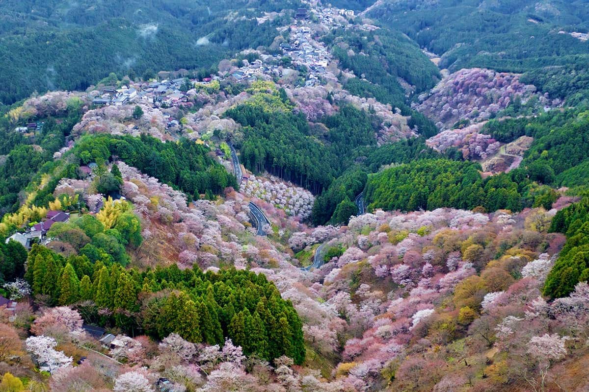 (写真) 花矢倉展望台 2