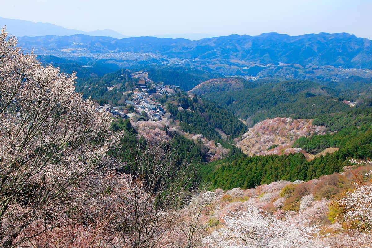 (写真) 花矢倉展望台 5