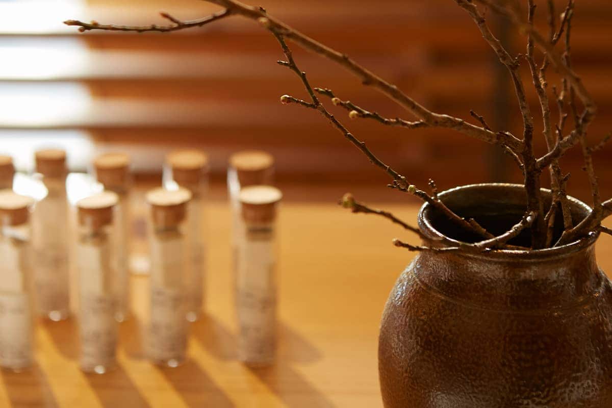 (写真) TSUJIMURA & Café kiton 6