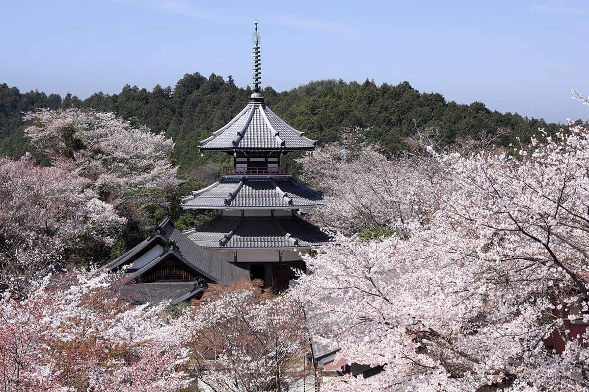 (写真) 金峯山寺（蔵王堂）										 3