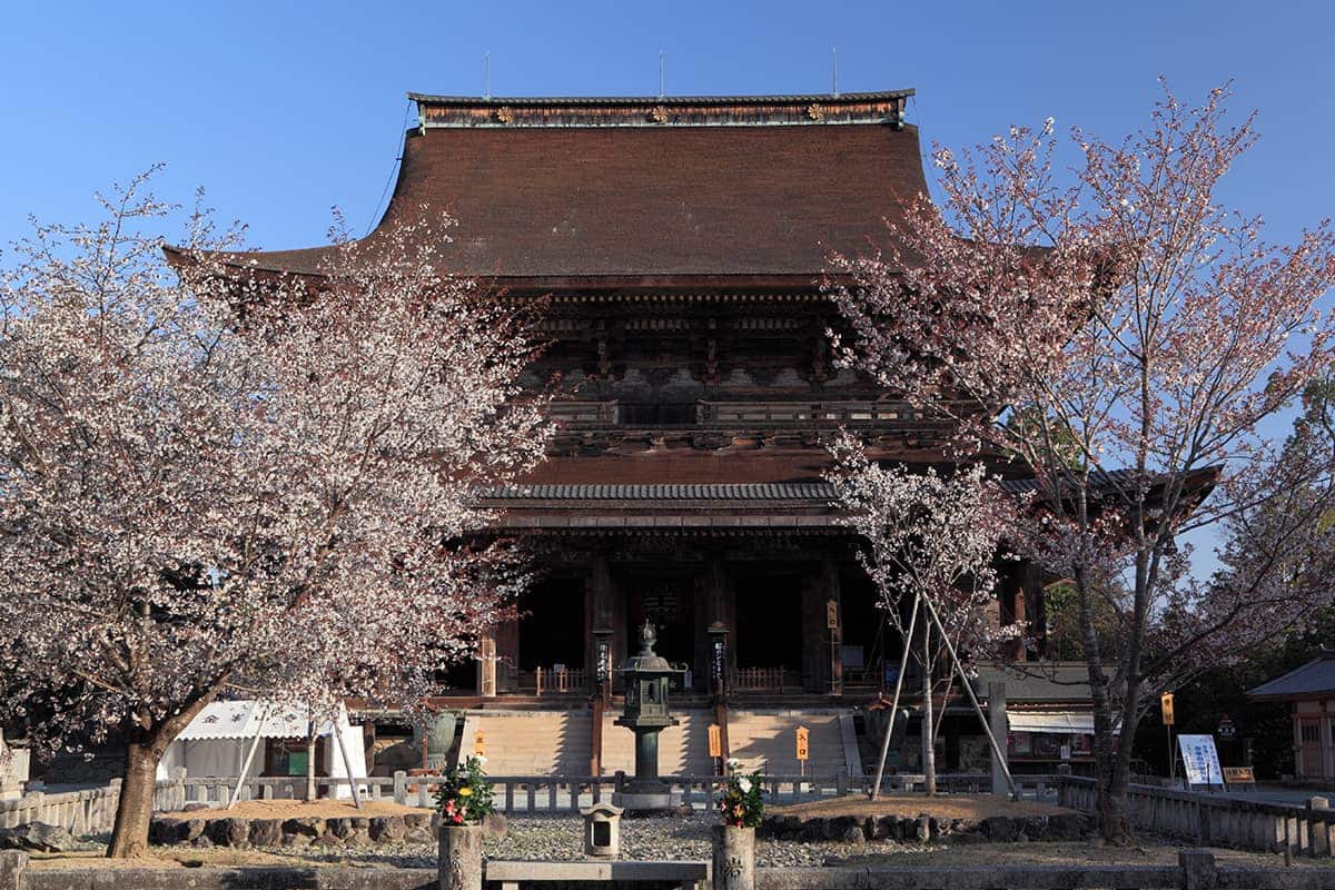 (写真) 金峯山寺（蔵王堂）										 4