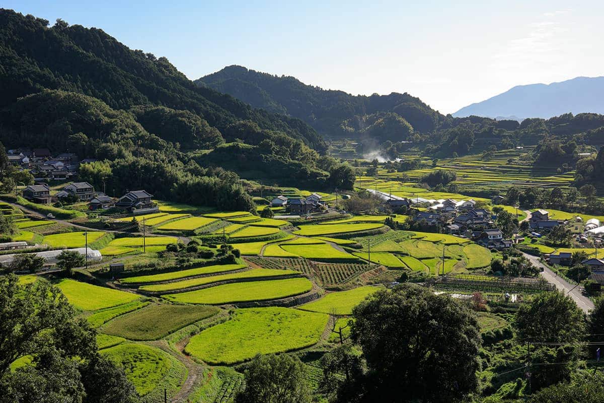 (写真) 明日香村										 1