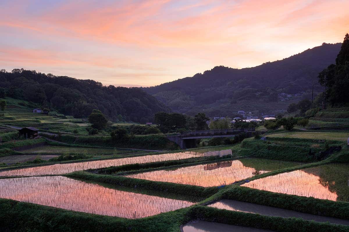 (写真) 明日香村										 3