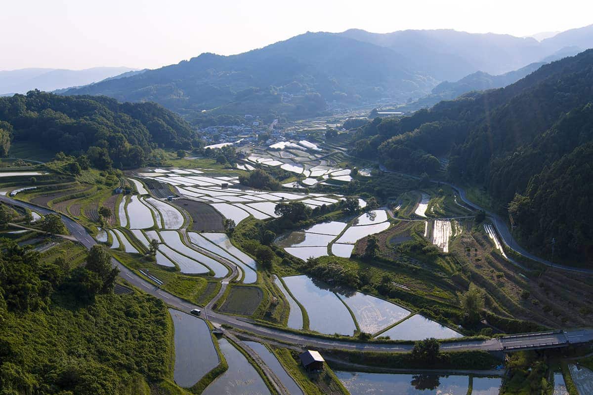 (写真) 明日香村										 5