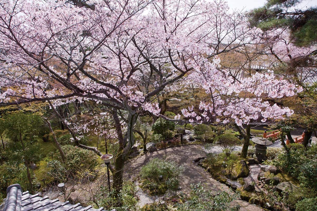 (写真) 百楽荘 4