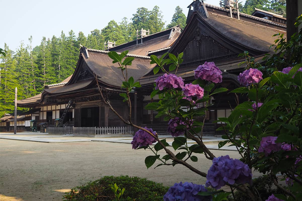 (写真) 金剛峯寺 1