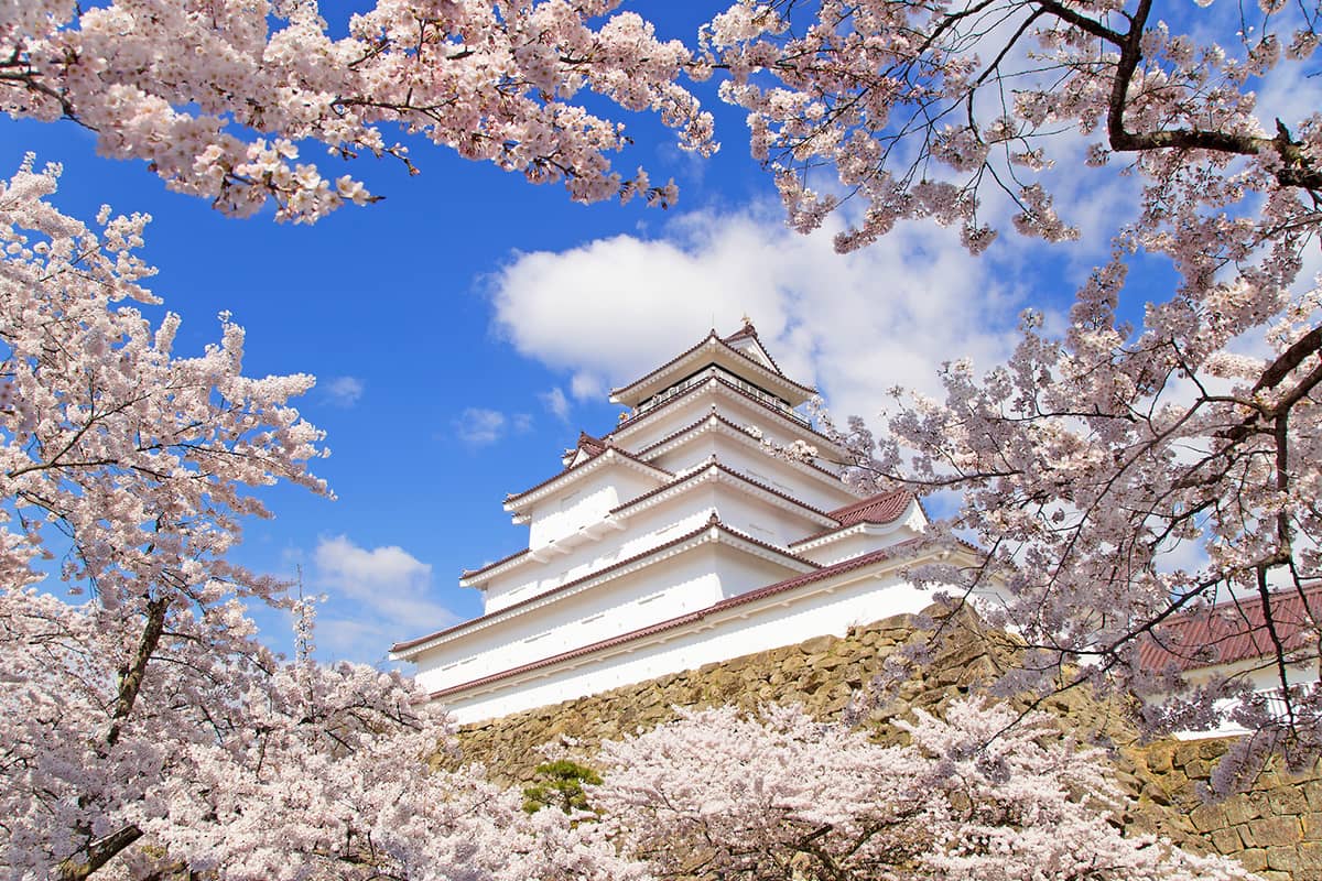 (写真) 鶴ヶ城 1