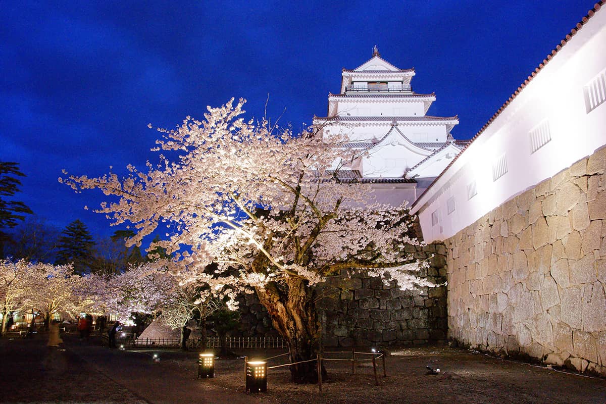 (写真) 鶴ヶ城 2