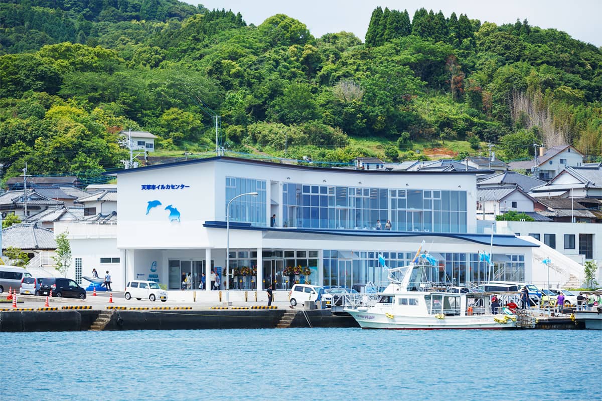 (写真) 天草市イルカセンター 3