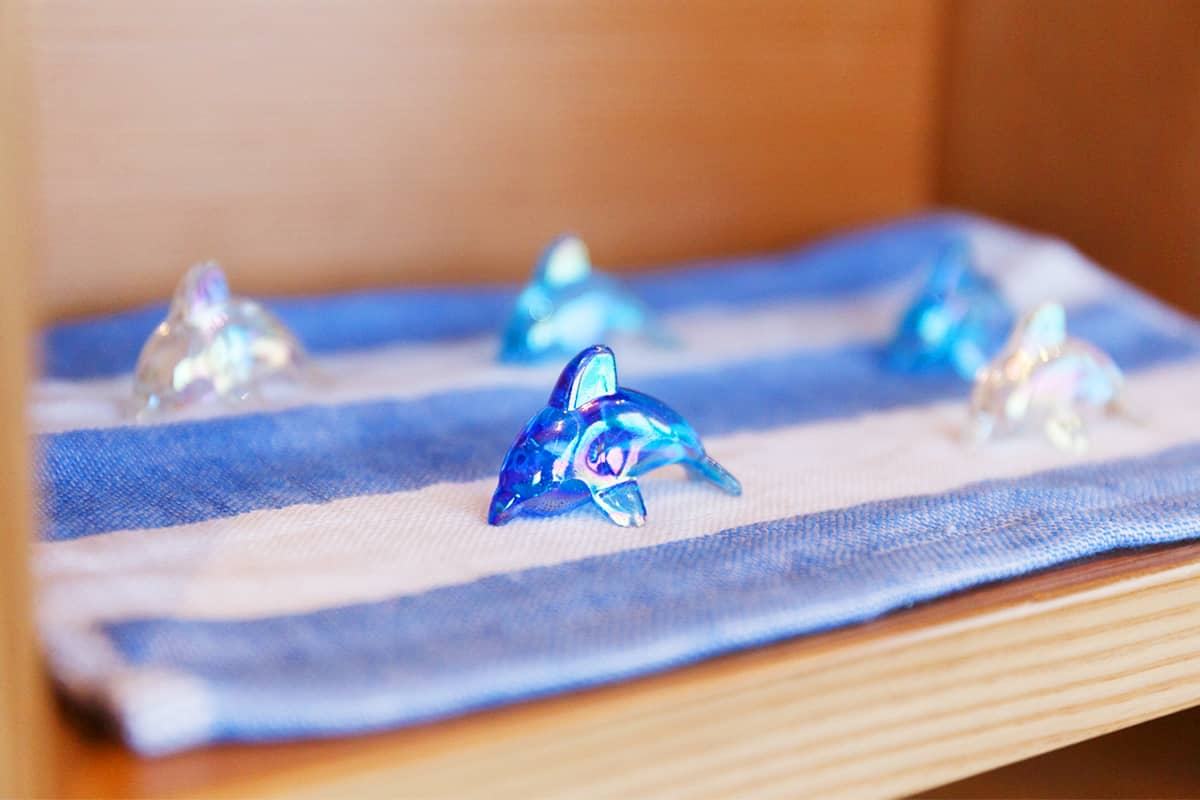 (写真) 天草市イルカセンター 5