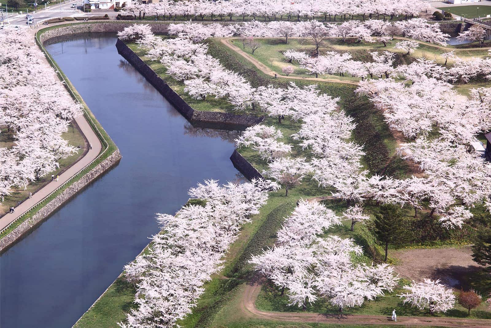 (写真) 五稜郭 2