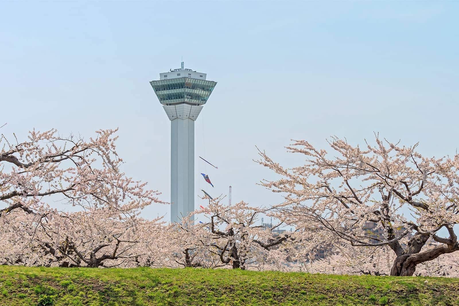 (写真) 五稜郭 3