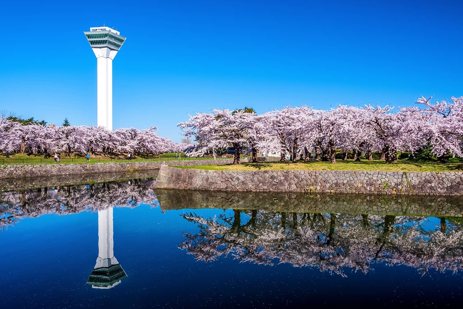 (写真) 五稜郭 4