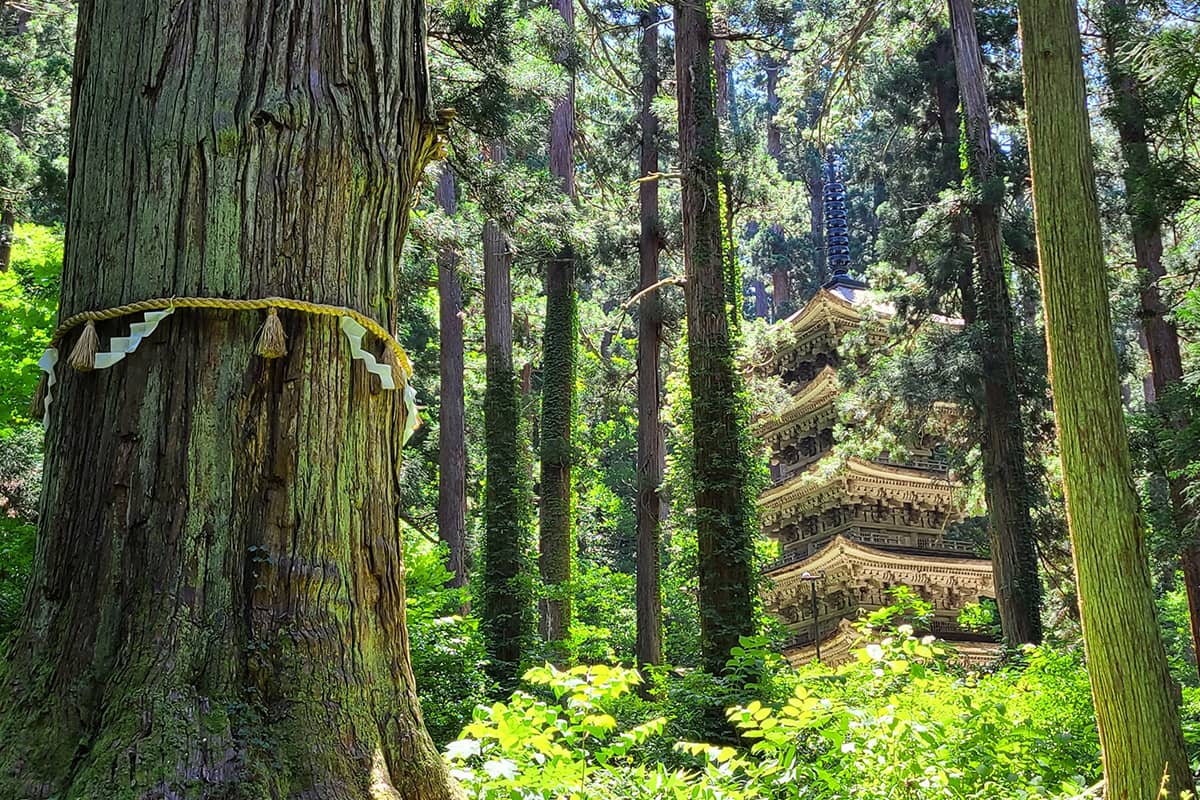 (写真) 出羽三山 1