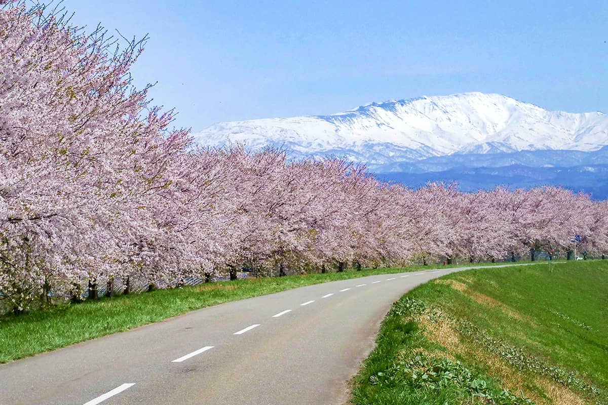 (写真) 出羽三山 5