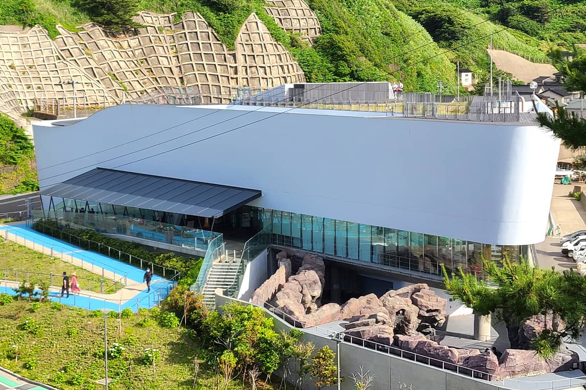 (写真) 加茂水族館 6