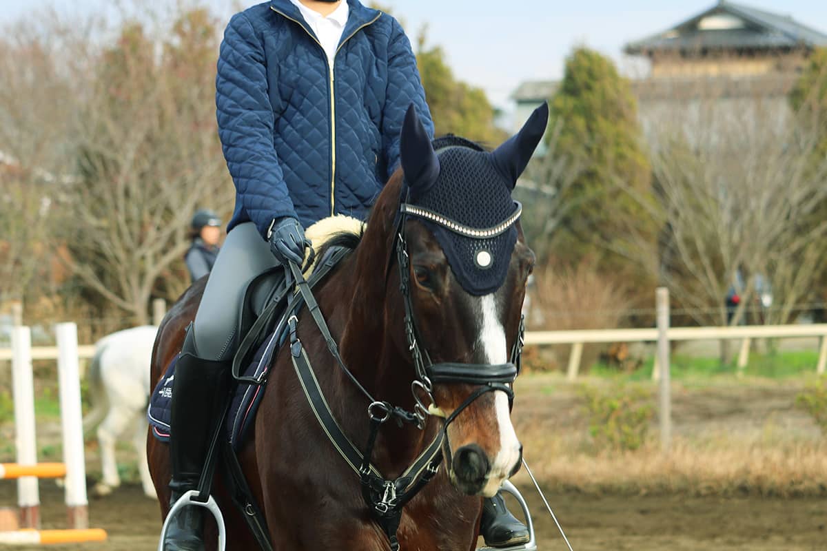(photo) Tomisato Horse Park 2