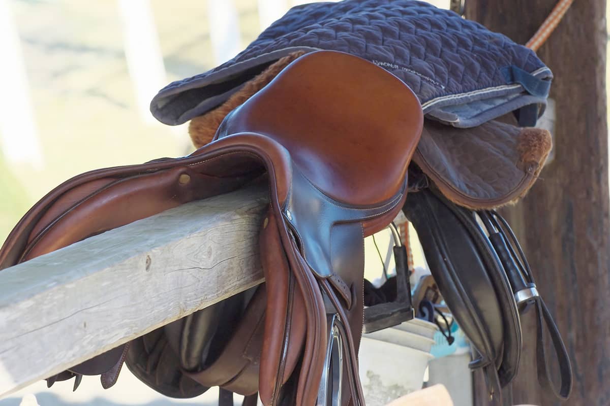 (photo) Tomisato Horse Park 5