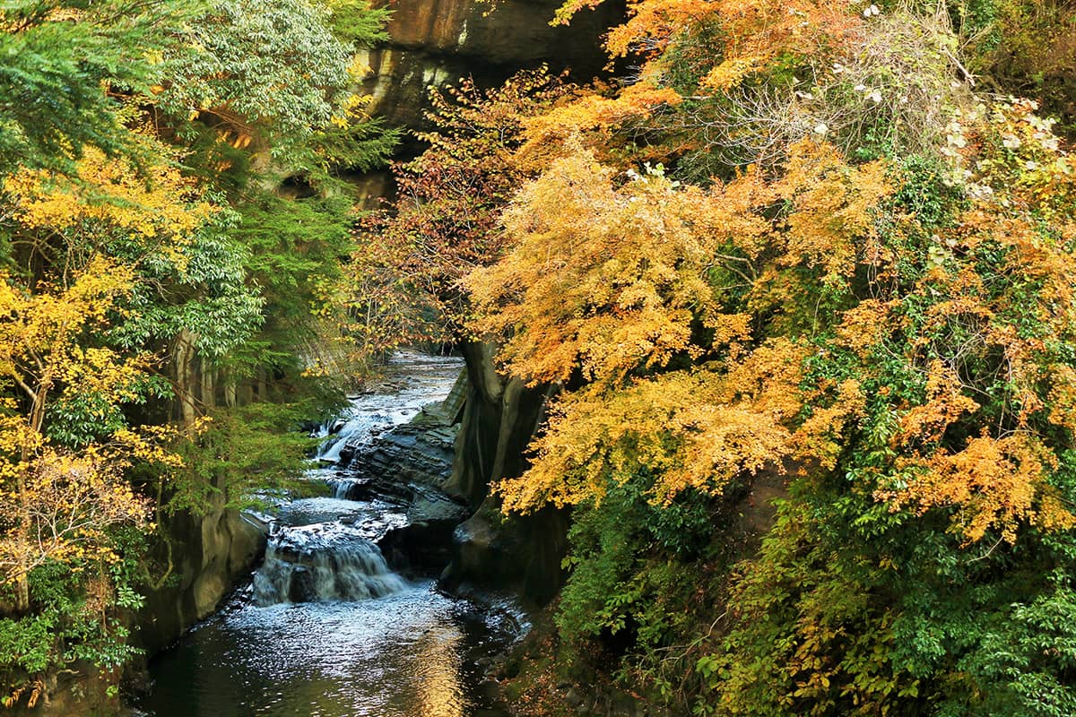 (photo) Nomizo Falls and Kameiwa Cave 6