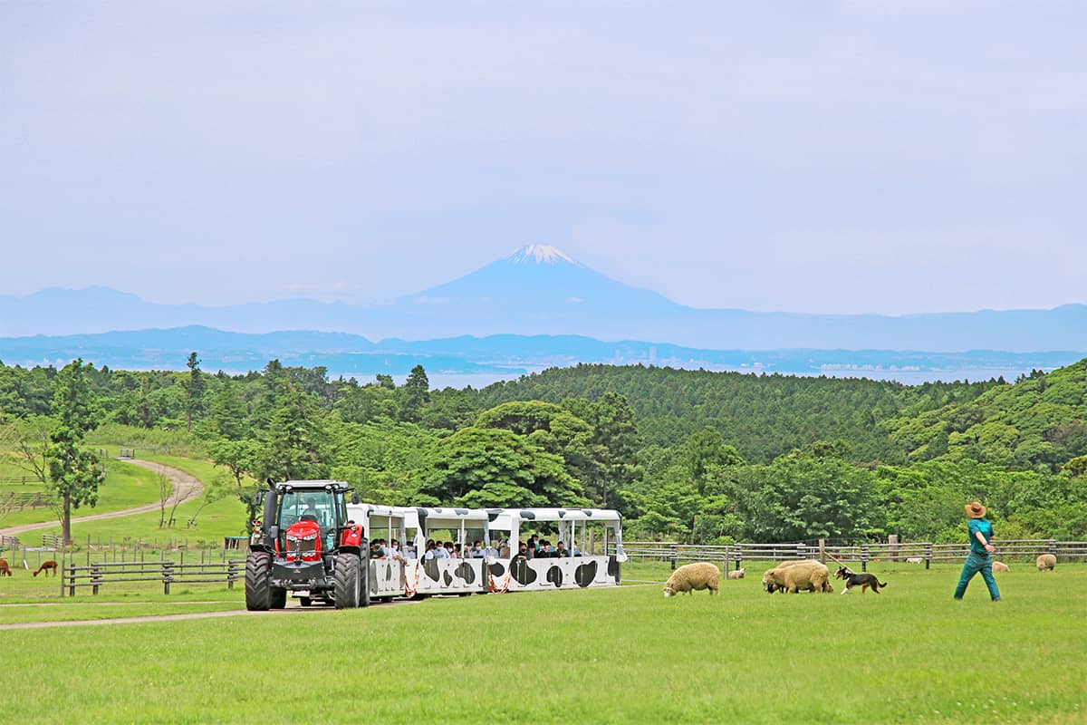 (photo) Mother Farm 3