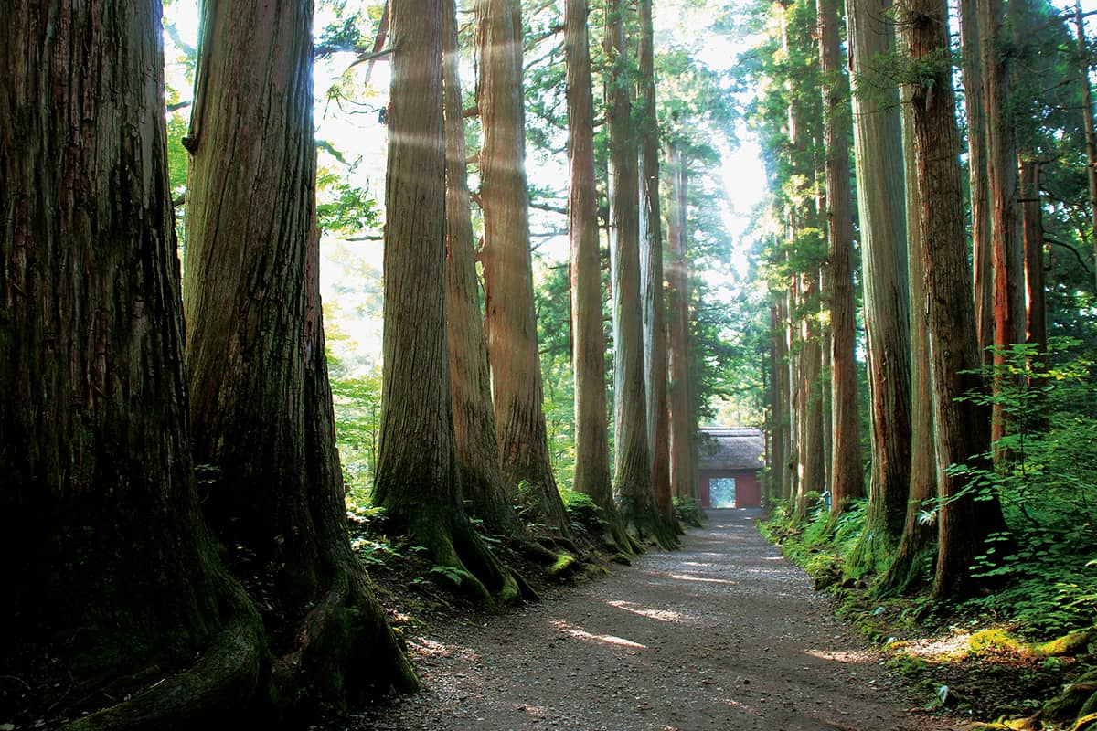 (写真) 戸隠神社 1