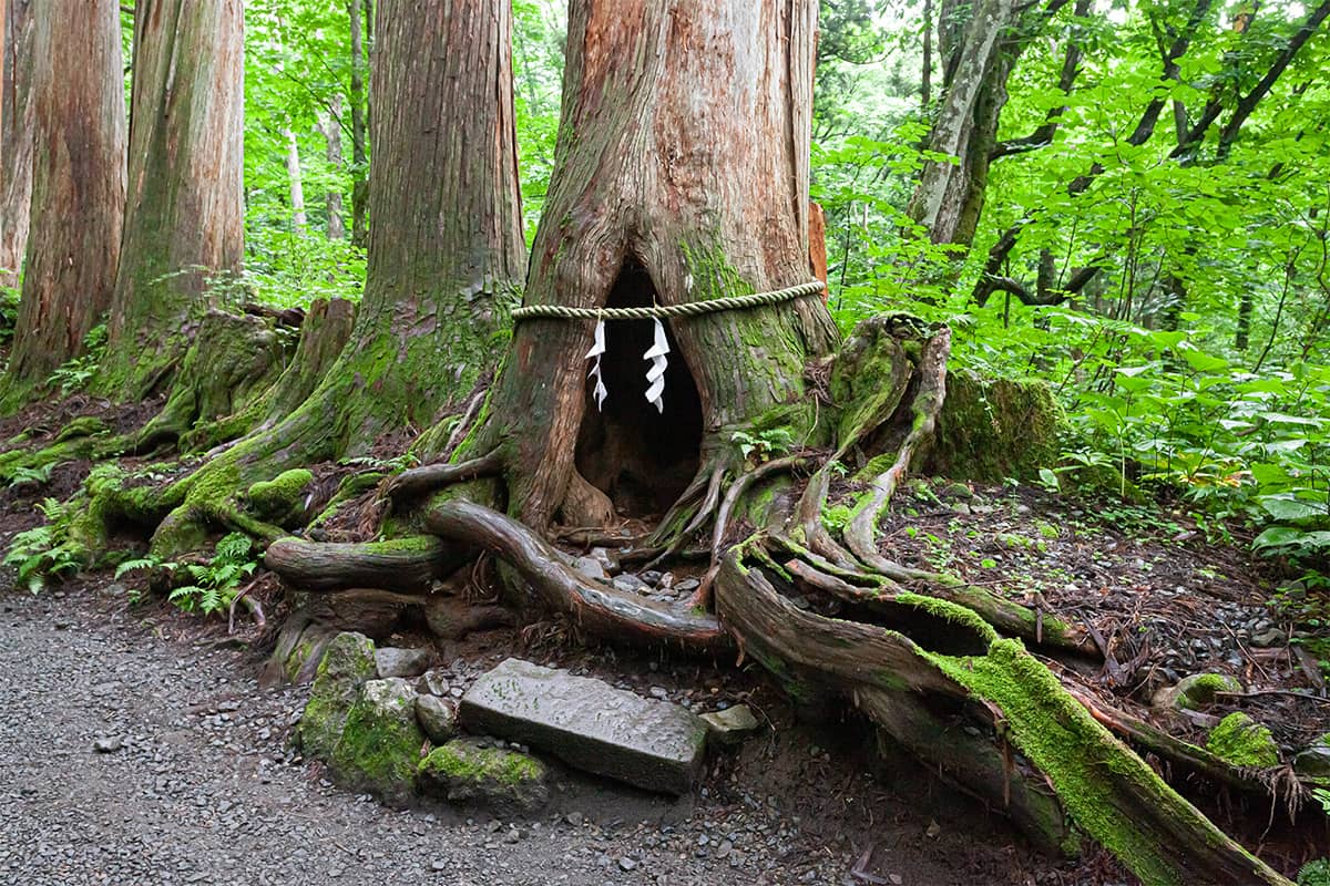 (写真) 戸隠神社 5