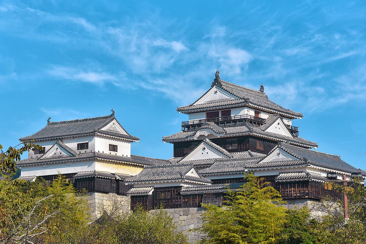 (写真) 松山城 1
