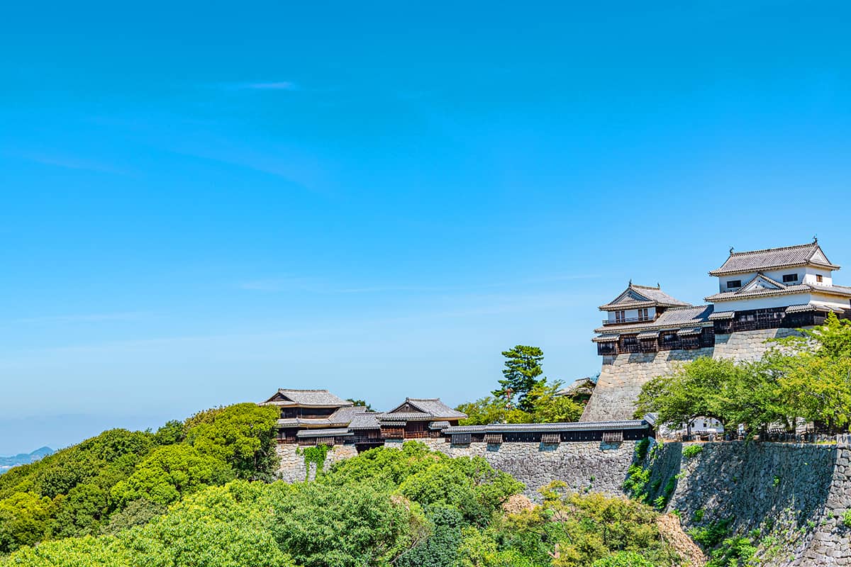 (写真) 松山城 5