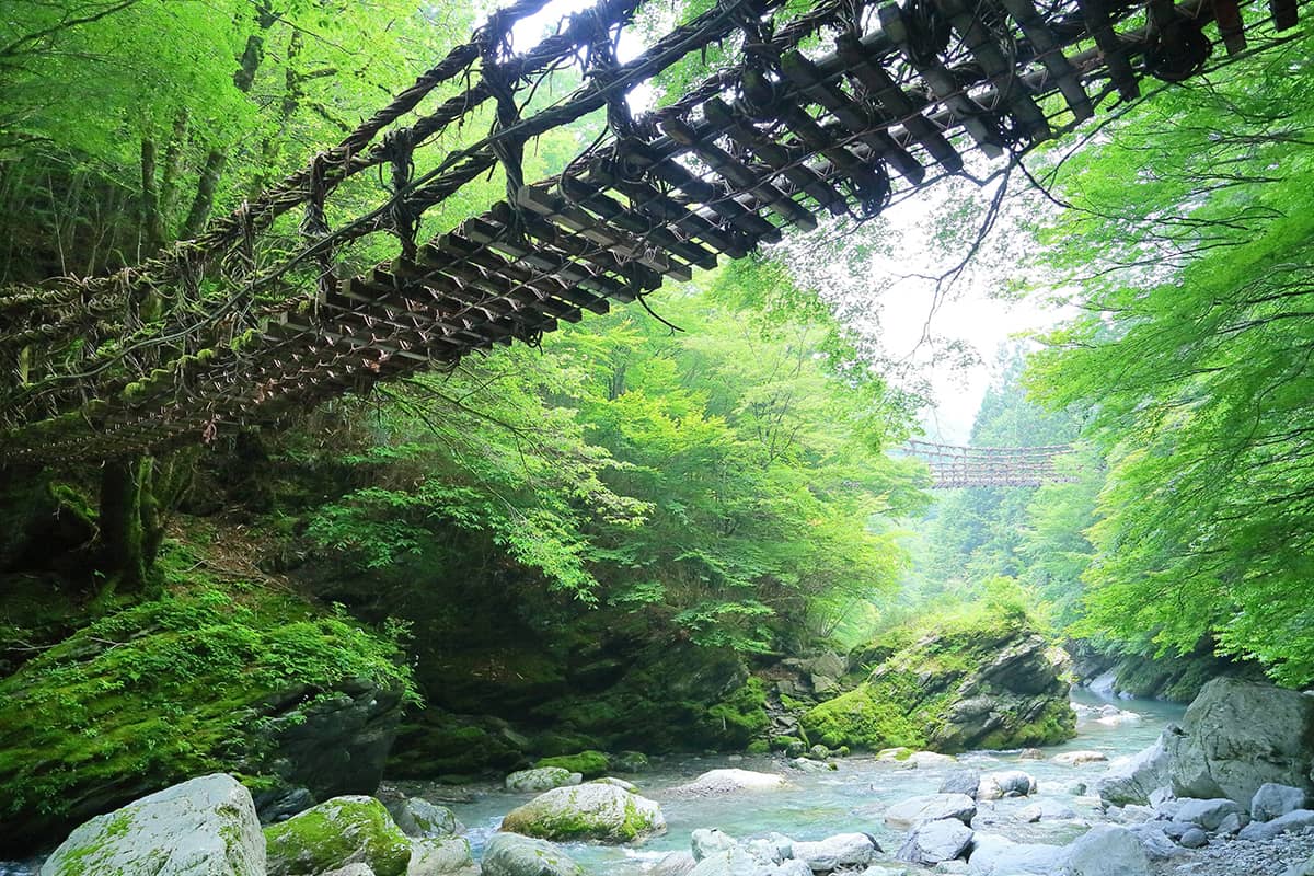 (写真) 祖谷渓・祖谷のかずら橋 3