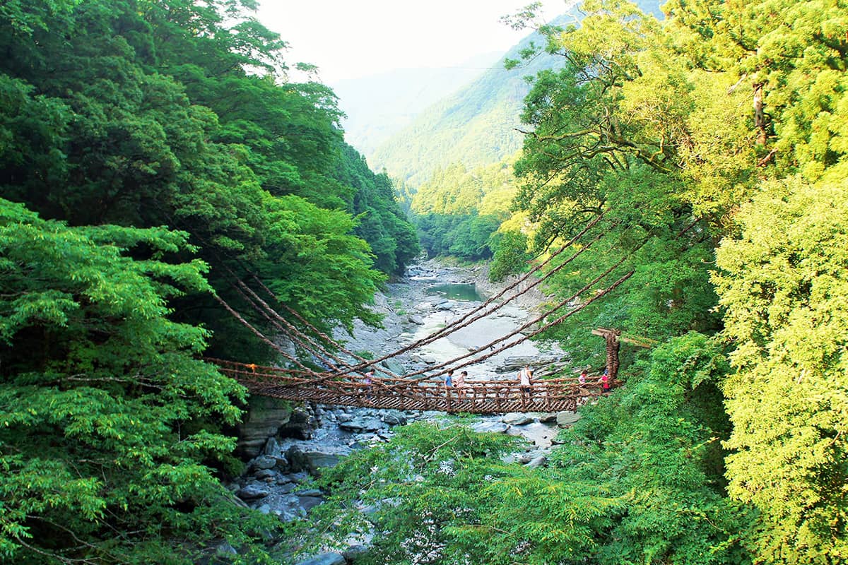 (写真) 祖谷渓・祖谷のかずら橋 5