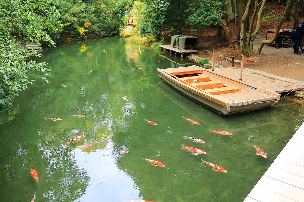 (写真) 栗林公園 5