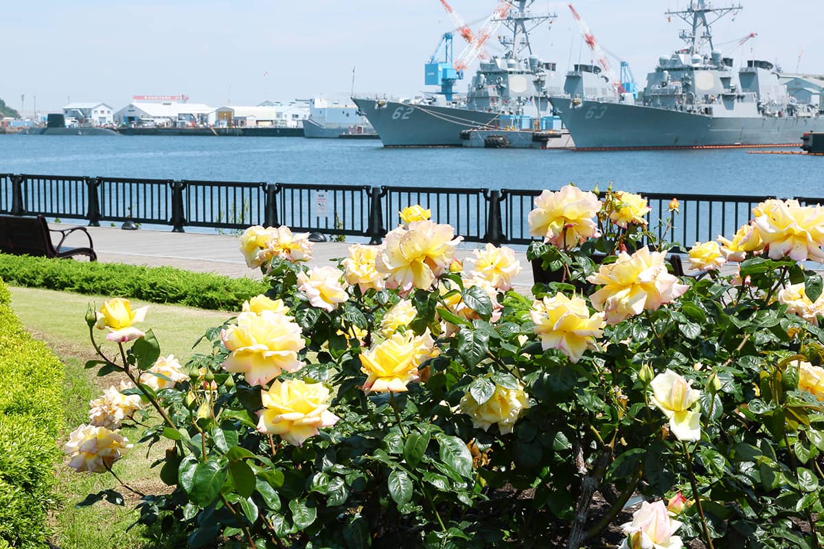 (写真) ヴェルニー公園 1