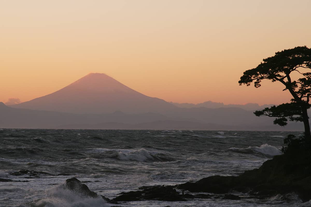 (写真) 秋谷・立石海岸 4